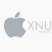 Critical Apple XNU Kernel Flaw: How Attackers Escalate Privileges