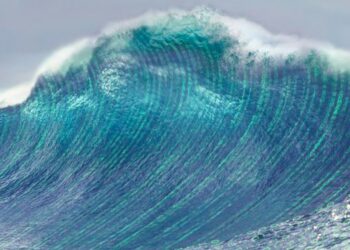 Navigating the Data Tsunami: Strategies for Interoperable and AI-Powered Solutions