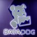 Datadog Reveals advanced AI Security Tools at DASH 2025 in the US