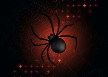 What we know about the cybercrime group Scattered Spider