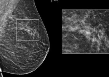 UAE: Dubai now inviting AI experts and companies to collaborate on building AI-driven government services