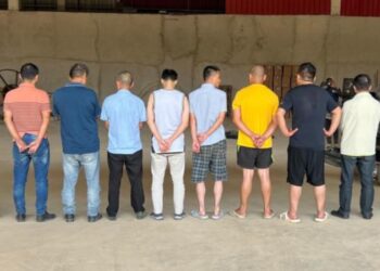 Interpol-Led Crackdown Disrupts African Cybercrime Networks